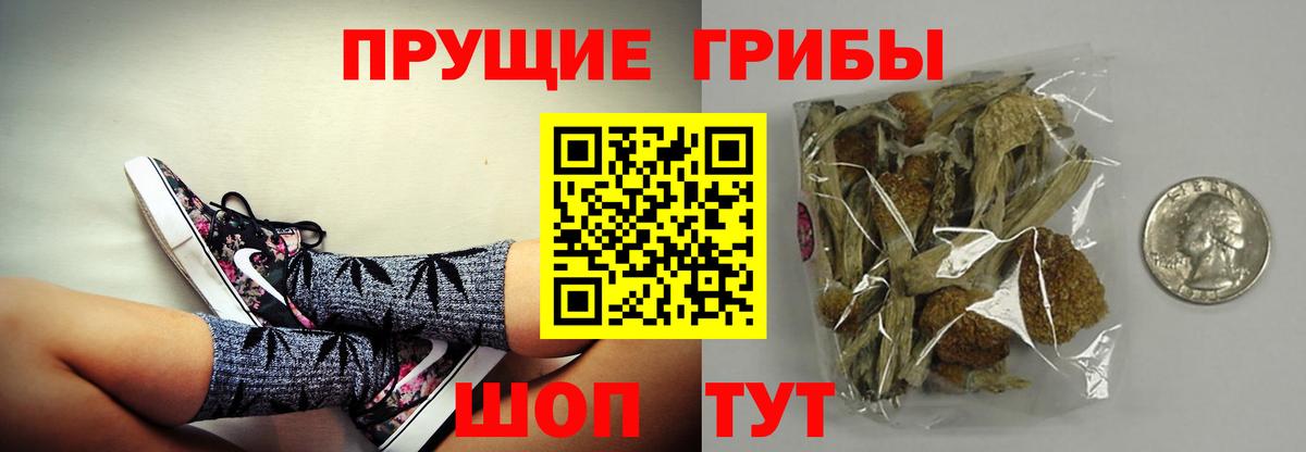 Галлюциногенные грибы Cubensis  Вход с VPN  Кыштым 